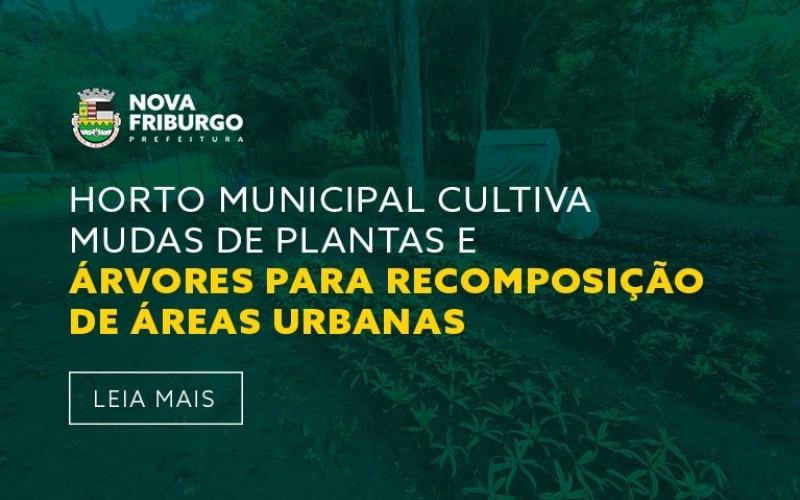 HORTO MUNICIPAL CULTIVA MUDAS DE PLANTAS E ÁRVORES PARA RECOMPOSIÇÃO DE ÁREAS URBANAS